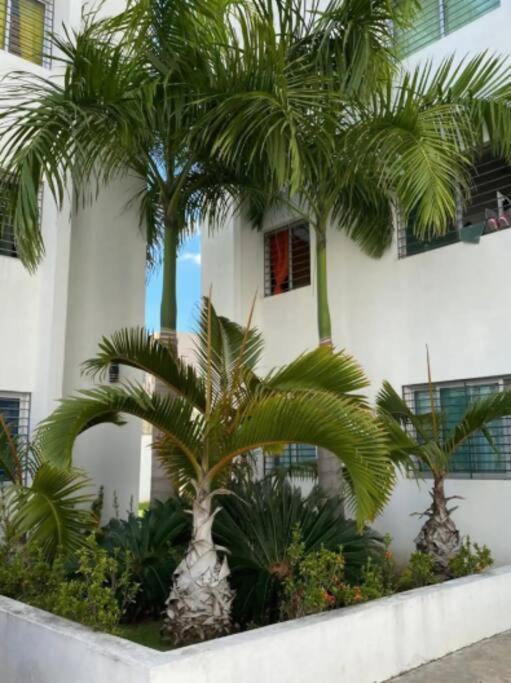 Comodas 3 Hab Con Piscina, Wifi 1Er Nivel Santiago De Los Caballeros Exterior foto